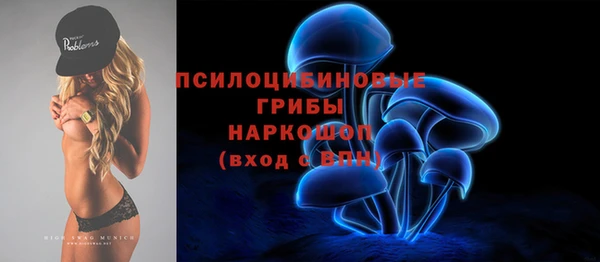 дживик Баксан