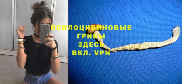 крисы Балахна